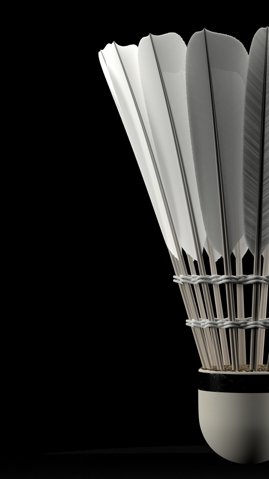 把能量转化 把能量转化